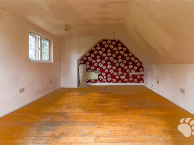Picture 24